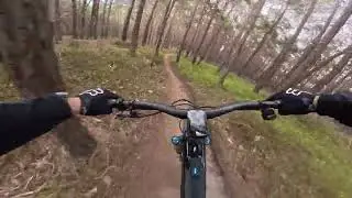 Naturtrails Deidesheim-Pechstein vom RV-Edelwei&szlig; Deidesheim #ytdecoysn #Deidesheim #mountainbike