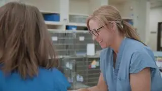 Join the Madison Veterinary Specialists Team!