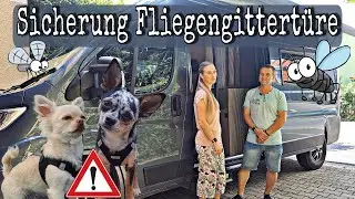 Schutz für Fliegengittertüre | Hund im Kastenwagen | Clever Celebration