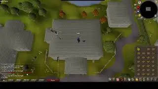 Agility Skill Pet obtained! (giant squirrel)