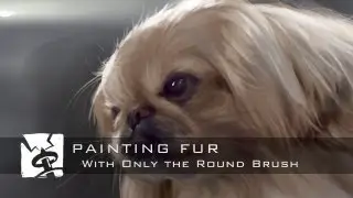 Painting Fur - Using Only the Round Brush