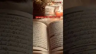 Yeh Amal ap ki zindagi badal sakte hain #PeaceWords #WisdomTalk #FeelThis #ZindagiKiBaat #ytshort