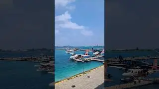 Trans Maldives  Sea Plane Experience 🛫  #kendricklamar #srilanka #youtube #maldives #maldivesbeach