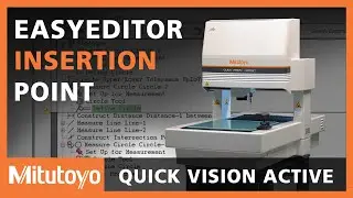 Quick Vision Active: EasyEditor Insertion Point