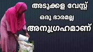 അടുക്കള മാലിന്യം ഒരു തലവേദന അല്ല വളമാക്കാം വരുമാനം നേടാം 👌