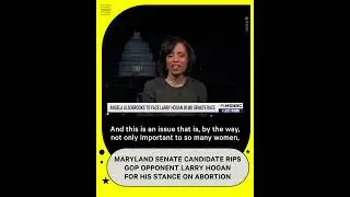 Maryland Senate Candidate Rips Into Opponent's Abortion Stance