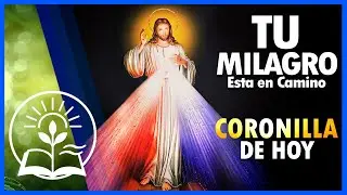 CORONILLA A LA DIVINA MISERICORDIA DE HOY MARTES 27 DE ENERO 2026 | CORONILLA Y ORACIÓN❤️✨