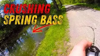 Spring Bank Fishing For Bass with Moving Baits