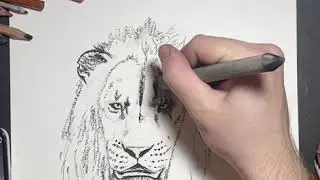 Scar Lion King (2019) Drawing Tutorial. Endangered Earth Clothing