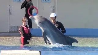Swim Adventure - Marineland Dolphin Adventure - November 30, 2021