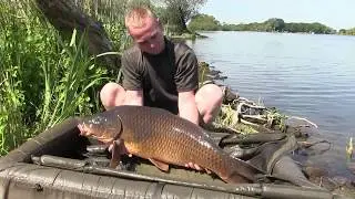 Karpfenangeln in der Havel