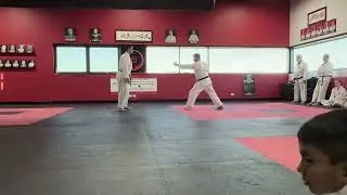 Sesan IOGKF - Sensei David Lambert