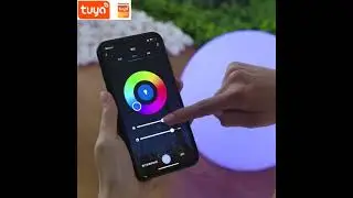 #PoweredbyTuya Smart Wi-Fi Control Outdoor Garden Ball Light D:400mm