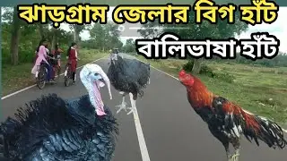 Balibhasa haat aessl murgi new video.. balibhasa Desi murgi market Il fako haat aessl murgi update 