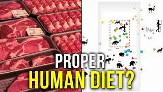 The REAL Reason The Carnivore Diet Works So Well
