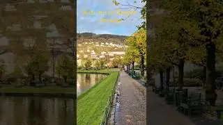Autumn in Bergen #relaxing #relaxingvideos #bergennorway #bergen #bergencity #calm #calming #travel