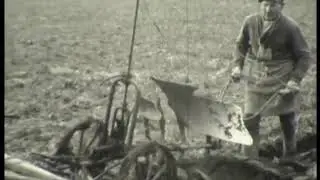 Labour d'un champ avec chevaux