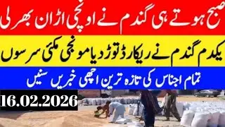 Today Wheat price in punjab//2026/munji makki till sarso/Galla mandi rate today// 16.02.2026
