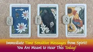 Immediate Time Sensitive Message from Spirit📩😇You Are Meant to Hear This Today #timelesstarotreading