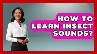 How To Learn Insect Sounds? - Reptilian Wonders