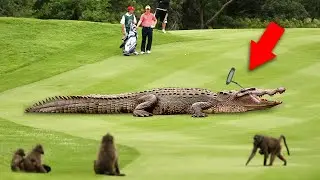 10 SHOCKING Moments in Golf History That Will Leave You Speechless