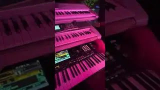 مقارنة الربابة korg pa5x vs yamaha A1000