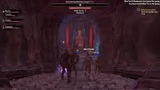 ELDER SCROLLS ONLINE - Let's get our first companion (Like an Everquest Mercenary)