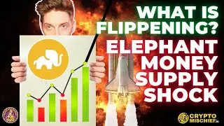 ELEPHANT MONEY: IT'S HAPPENING AGAIN! (Must Watch)