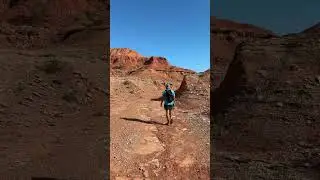 Would you explore this state park? 🤠🦬 📍Caprock Canyons State Park | Quitaque, Texas Home to the