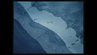 angels egg amv 480p with secret ending