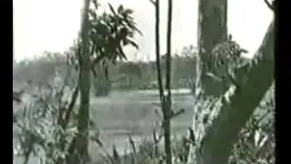 Muktijoddha fight against pakistani army   YouTube Videos from #thenewscompany Archives