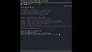 DDoS Attacks: The Cyber Weapon of the Future