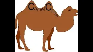 CamelCase using C [HackerRank]