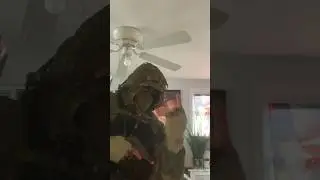 Kapkan is the Master Baiter&hellip;🤭💥 #rainbowsixsiege #r6community #r6s #r6siege #shorts
