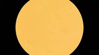 SDO | Data Daily Movies for July 24, 2020