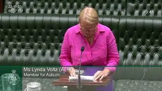 Ms Lynda Voltz MP Community Statement about the Holodomor in NSW Parliament - 22 November 2023