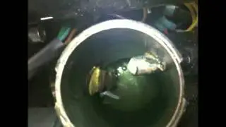 Norton Oil Return