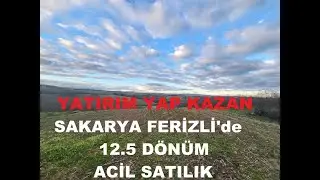 SAKARYA FERİZLİ CADDE ÜZERİNDE BÜYÜK FIRSAT 12.5 DÖNÜM İMARLI ARSA