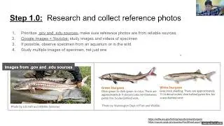 Mentor Chats - May 2024 - Using comics to make scientific research accessible with Squidtoons