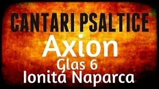 Axion gl 6 dupa Ionita Naparca