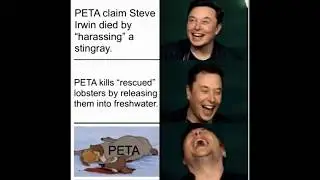 PETA - Memes