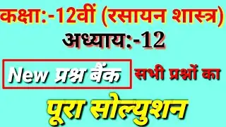 class 12th chemistry chapter 12 new question bank solution/class 12th chemistry question bank