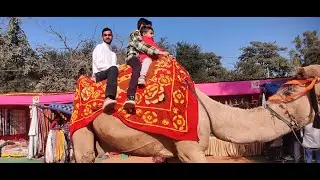 ऊंट की सवारी करके मजा आ गया | CHANDIGARH | CAMEL RIDING | RAMGARH KA BIKU