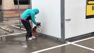 Ongoing Nose Work