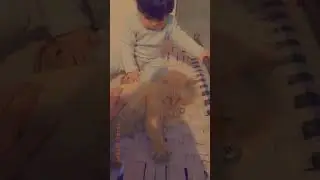 A cute baby playing with cat | Cat and Baby | Innocent world | @rachnavitv523