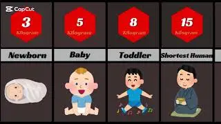 How Much Weight of Human | WWE | Hollywood | Actors | 