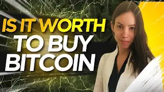 Choosing Bitcoin is a wise decision! - Lyn Alden| Crypto News & Analysis