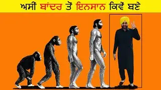 ਅਸੀਂ ਬਾਂਦਰ ਤੋਂ ਇਨਸਾਨ ਕਿਵੇਂ ਬਣੇ | Human Evolution Process
