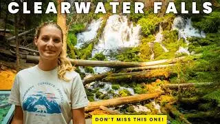 Clearwater Falls: Easy Waterfall Hikes Near Crater Lake National Park
