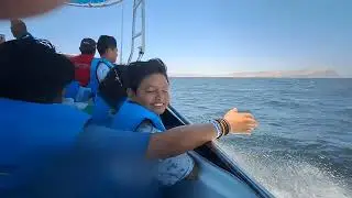 Viaje a Paracas 